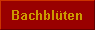 Bachbl�ten